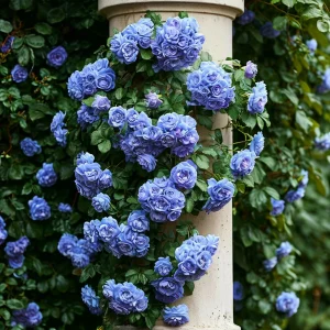 Роза плетистая Блю Перпл купить по цене от 540р. в интернет-магазине «Посадика» с доставкой почтой в в Ирбите и по всей России – [изображение №1].